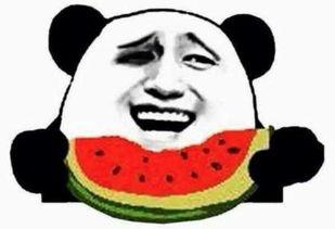 吃瓜博主简介图片,从简介图片看其独特魅力与趣味人生