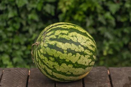 吃安心的瓜,揭秘那些让人吃得放心的瓜类美食