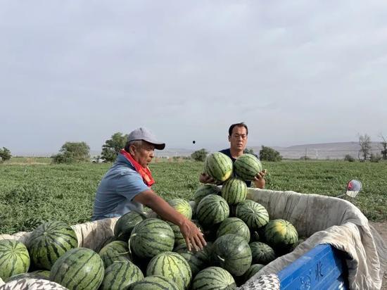 三局吃瓜,揭秘娱乐圈背后的精彩故事