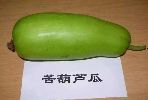 诸城直播吃瓜,揭秘网红美食背后的故事