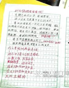 猴王吃瓜文稿全文解析,揭秘猴界风云与瓜田奇遇