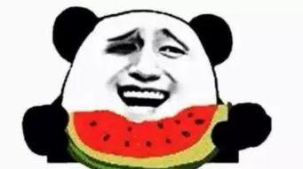 吃瓜乘务员,揭秘航空服务人员的酸甜苦辣