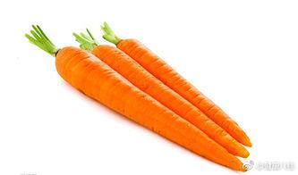 吃瓜犯困吗,瓜果盛宴中的小憩时光