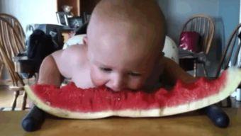 宝宝吃瓜可爱合集,宝宝吃瓜可爱瞬间大盘点