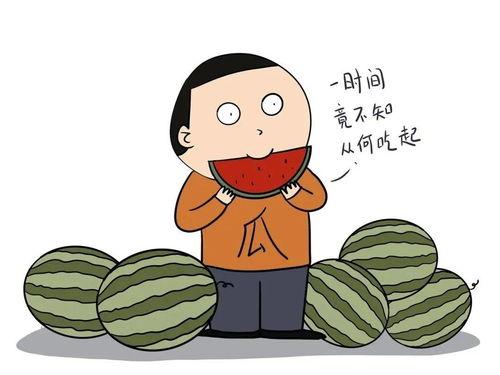 在这吃瓜的年纪英文,Enjoying the Melon-Eating Years: A Glimpse into Youthful Adventures