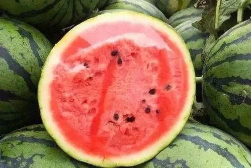 吃瓜掉坑,揭秘网络舆论背后的真相