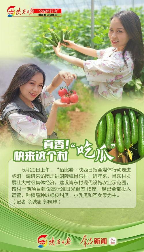 吃瓜真香小说在线阅读,一场小说世界的甜蜜诱惑