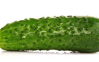 每天休息吃瓜,吃瓜休息，享受生活小确幸