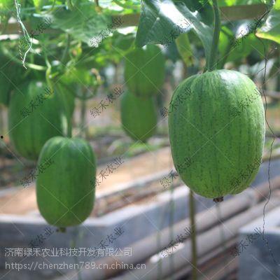 济南消防吃瓜,一场意外引发的舆论风波