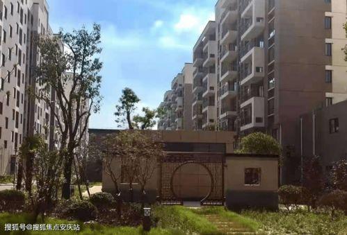 山东吃瓜事件近期情况,真相与争议交织