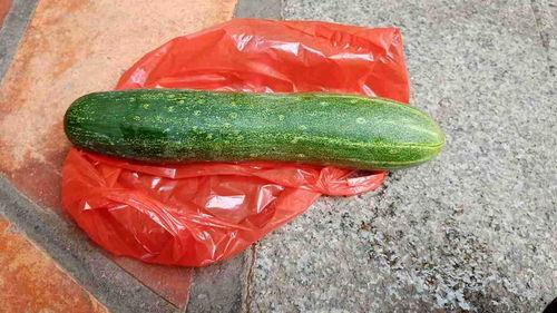 哪里瓜可以吃生的,揭秘哪些瓜类可以生吃