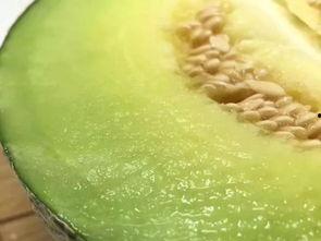 吃瓜ta,网络红人的崛起与影响力