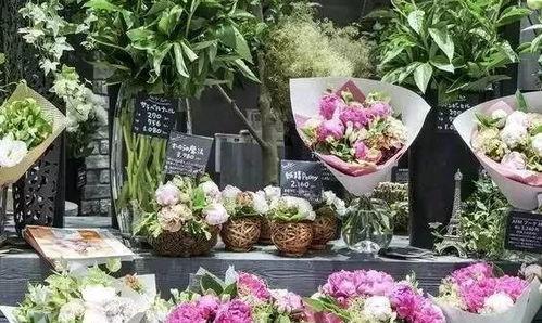 梦境花店吃瓜,瓜田里的奇幻之旅