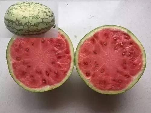 带你吃瓜发明之前,探索网络流行语背后的文化现象