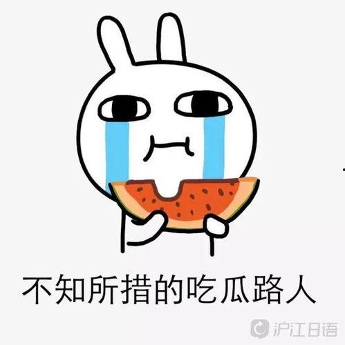 短剧吃瓜进行时