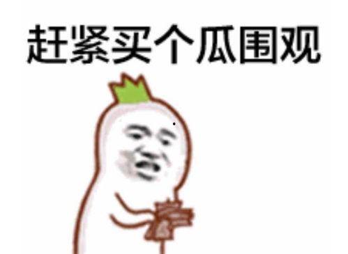 都市医圣 吃瓜群众,吃瓜群众眼中的医术传奇