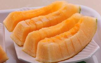 海兰吃哈密瓜,海兰畅享哈密瓜美味时光