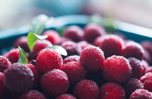 梅瓜可吃,探寻可食用梅瓜的独特风味