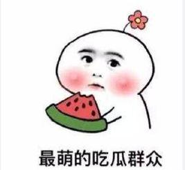 没瓜吃的群众,没瓜吃的日子如何度