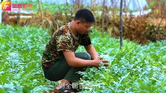 山里吃瓜视频,揭秘乡村生活趣味瞬间