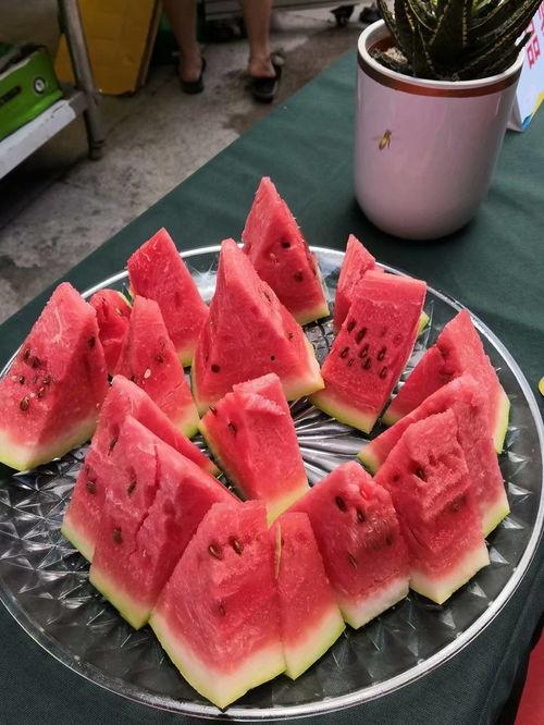 宁夏迈阿密吃瓜,瓜果飘香，尽享夏日清凉盛宴