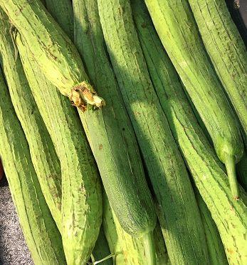 瓜家人吃生蔬菜,瓜家人生蔬食文化探秘