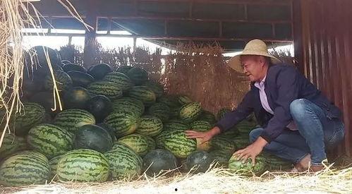 吃瓜 李,揭秘娱乐圈背后的故事