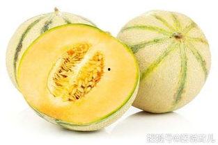 孕妇田瓜可以吃吗,田瓜的安全性探讨