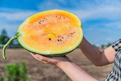 小露吃瓜,揭秘娱乐圈那些不为人知的幕后故事